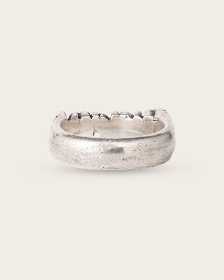 FUCK ‘EM RING IN SILVER
