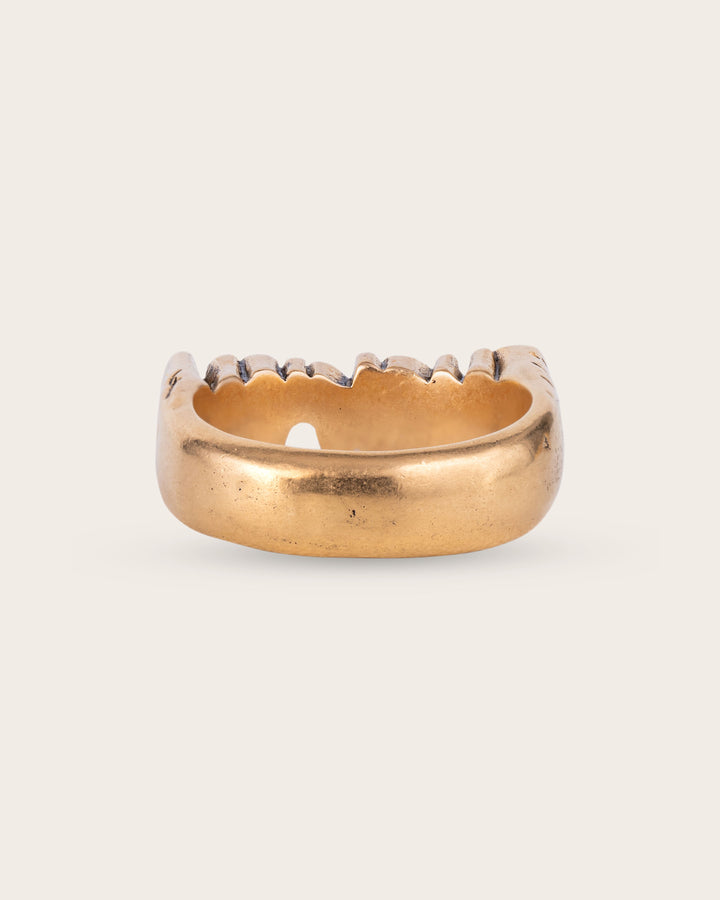 FUCK ‘EM RING IN GOLD