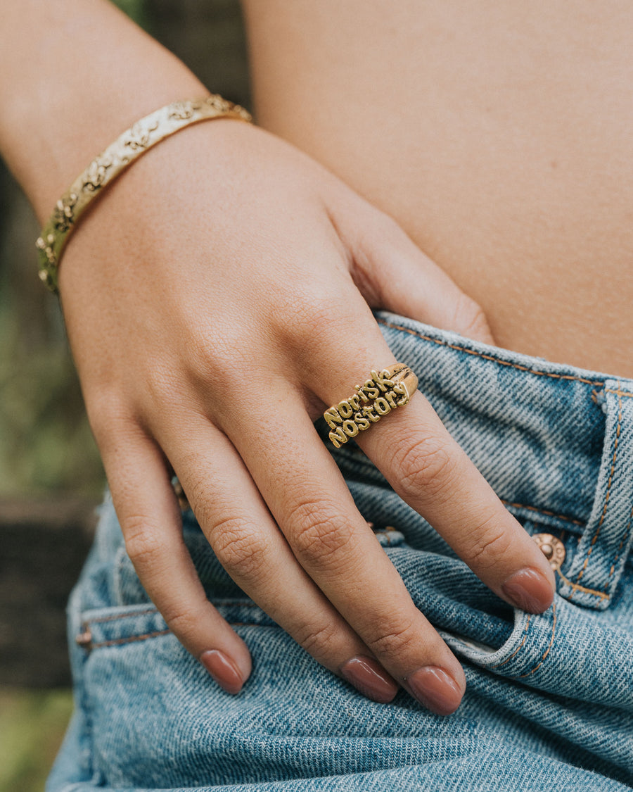 NO RISK NO STORY RING IN GOLD