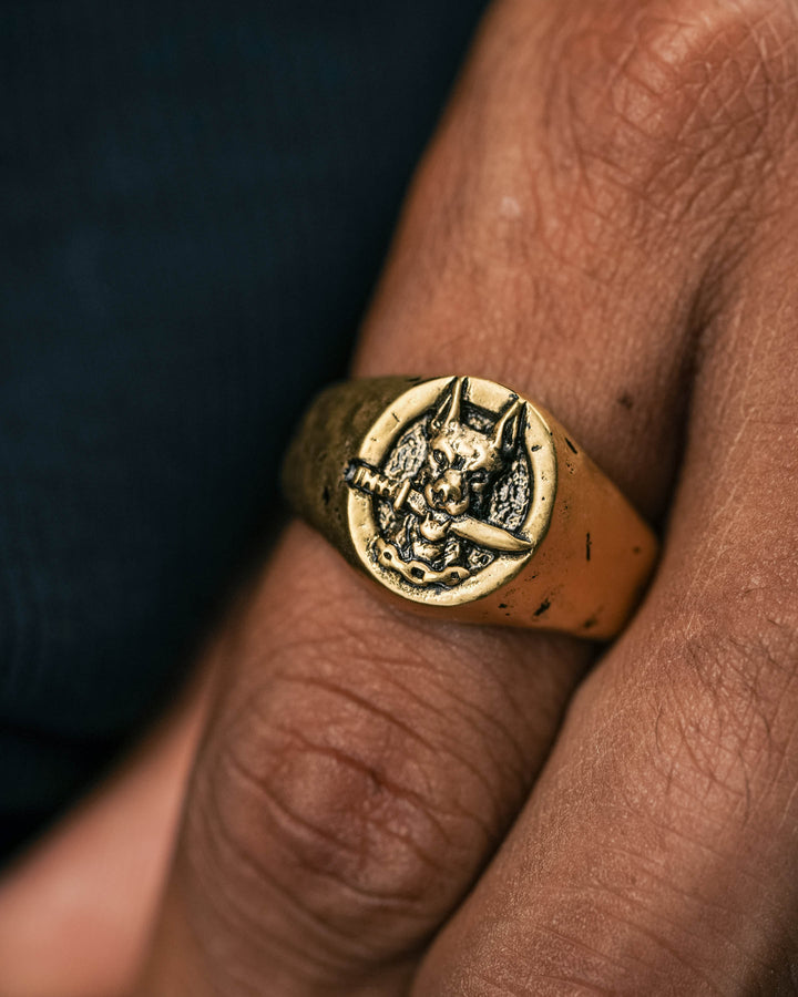dog and dagger signet ring in gold model photograph