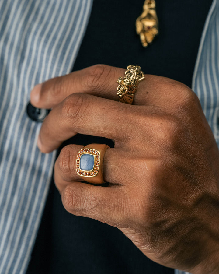 hand heart stone pendant in gold and blue & red leopard gemstone ring in gold and tiger guardian ring in gold model photograph
