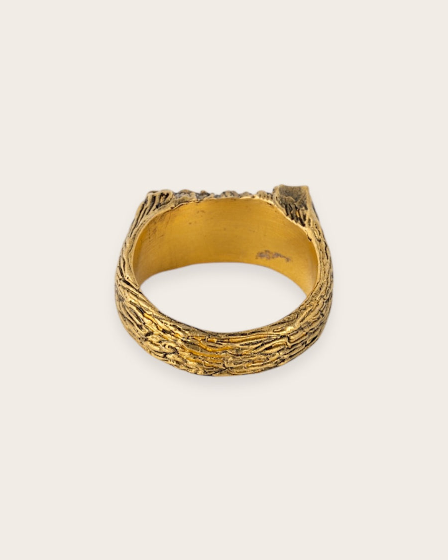 LOVER RING IN GOLD